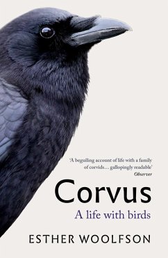 Cover Corvus (eBook, ePUB)