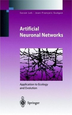 Artificial Neuronal Networks