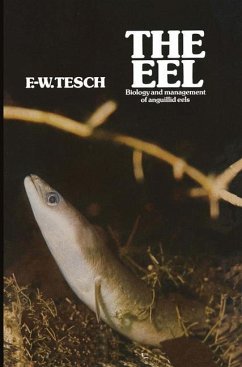 The Eel - Tesch, F.