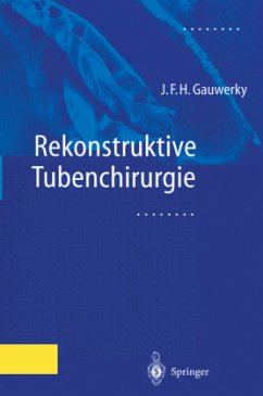 Rekonstruktive Tubenchirurgie - Gauwerky, Johannes F.H.