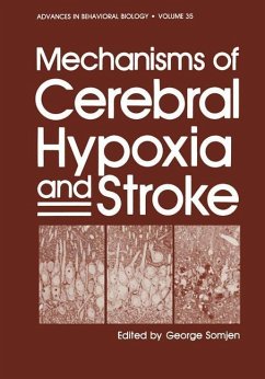 Mechanisms of Cerebral Hypoxia and Stroke