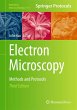 Electron Microscopy - Bild 1