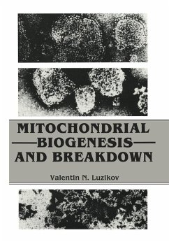 Mitochondrial Biogenesis and Breakdown - Luzikov, Valentin
