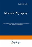 Mammal Phylogeny