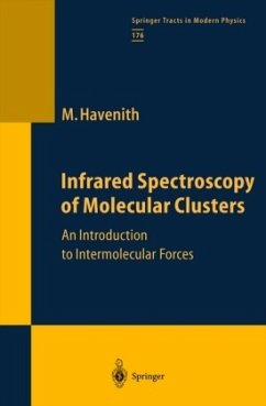 Infrared Spectroscopy of Molecular Clusters - Havenith, Martina H.