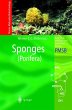 Sponges (Porifera) - Bild 1