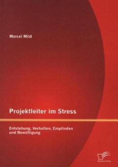 Projektleiter im Stress: Entstehung, Verhalten, Empfinden und Bewältigung - Mild, Marcel