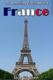 101 Amazing Facts About France (eBook, PDF)