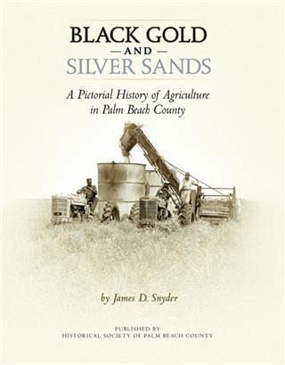 Black Gold and Silver Sands: (eBook, ePUB) Black Gold and Silver Sands: (eBook, ePUB)