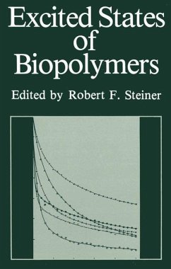 Excited States of Biopolymers