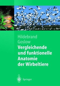 Vergleichende und funktionelle Anatomie der Wirbeltiere - Hildebrand, Milton;Goslow, George