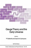 Gauge Theory and the Early Universe