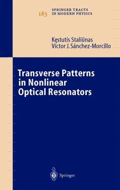 Transverse Patterns in Nonlinear Optical Resonators - Staliunas, Kestutis;Sánchez-Morcillo, V.J.