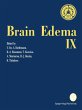 Brain Edema IX - Bild 1