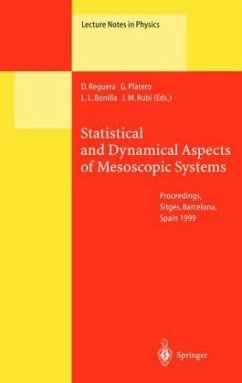 Statistical and Dynamical Aspects of Mesoscopic Systems