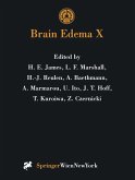 Brain Edema X