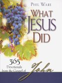 What Jesus Did (eBook, ePUB)