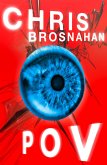 POV (eBook, ePUB)