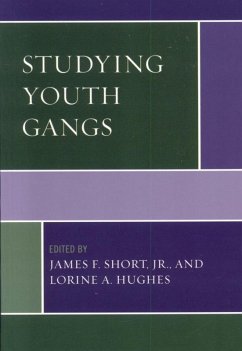 Cover Studying Youth Gangs (eBook, ePUB)