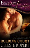Holding Court (eBook, ePUB)