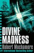 Divine Madness (eBook, ePUB) - Bild 1