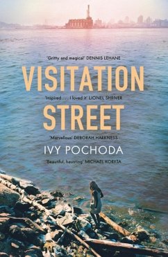 Visitation Street (eBook, ePUB) - Pochoda, Ivy