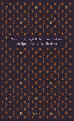 Cover Im Springen eines Steines (eBook, ePUB)