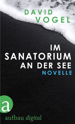 Im Sanatorium / An der See (eBook, ePUB) - Vogel, David