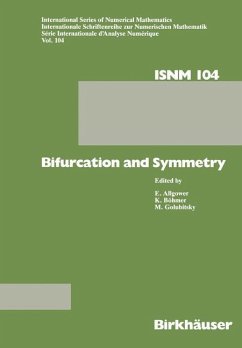 Bifurcation and Symmetry - Böhmer; Allgower; GOLUBITSKY