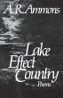 Lake Effect Country - Bild 1
