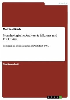 Morphologische Analyse & Effizienz und Effektivität - Hirsch, Mathias