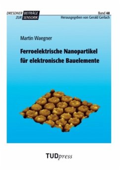 Ferroelektrische Nanopartikel für elektronische Bauelemente - Waegner, Martin