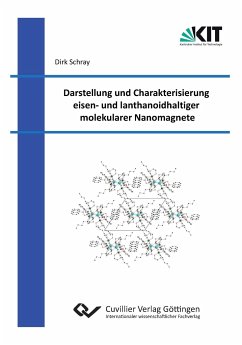 Darstellung und Charakterisierung eisen¿ und lanthanoidhaltiger molekularer Nanomagnete - Schray, Dirk