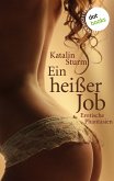 Ein heißer Job / Sexy Secretaries Bd.3 (eBook, ePUB)