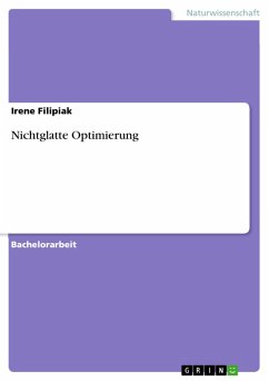 Nichtglatte Optimierung (eBook, PDF)