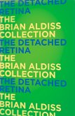 The Detached Retina (eBook, ePUB) The Detached Retina (eBook, ePUB)