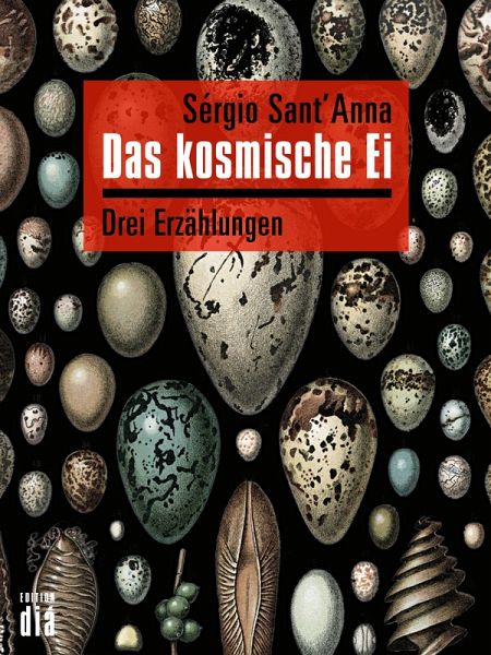 Das kosmische Ei (eBook, ePUB)