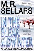 In The Bleak Midwinter: A Special Agent Constance Mandalay Novel (eBook, ePUB)