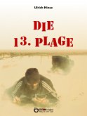Die 13. Plage (eBook, ePUB)