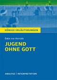 Jugend ohne Gott von Ödön von Horváth. Textanalyse und Interpretation mit ausführlicher Inhaltsangabe und Abituraufgaben mit Lösungen. (eBook, PDF)