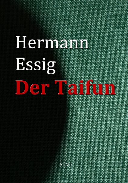 Der Taifun (eBook, ePUB)