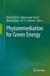 Phytoremediation for Green Energy - Bild 1