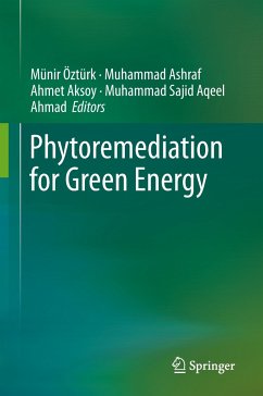 Phytoremediation for Green Energy