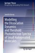 Modelling the Dissociation Dynamics and... - Bild 1