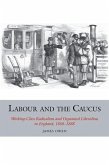 Labour and the Caucus Labour and the Caucus