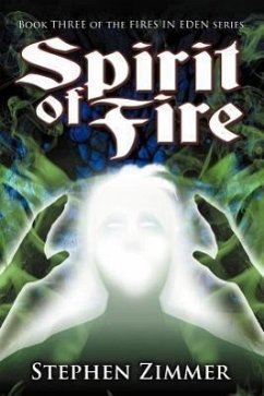Spirit of Fire - Zimmer, Stephen