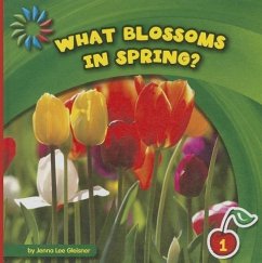What Blossoms in Spring? - Gleisner, Jenna Lee