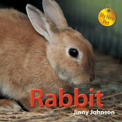 Rabbit - Johnson, Jinny