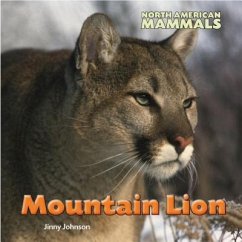 Mountain Lion - Johnson, Jinny