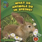 What Do Animals Do in Spring?